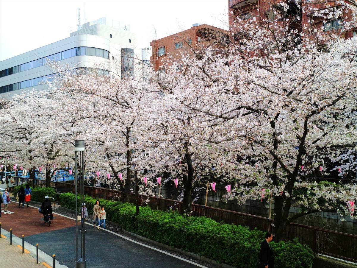 Coto Tokyo Shibuya 6 Apartamento Exterior foto
